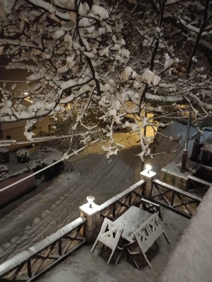 Filanthi Villa Kato Sinikia Trikalon Buitenkant foto