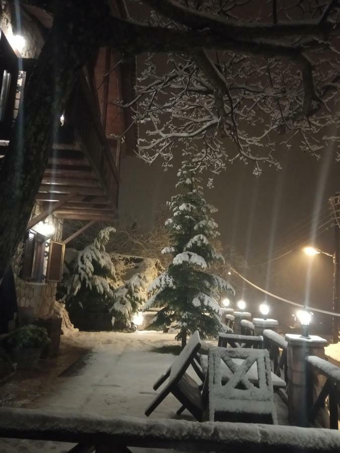 Filanthi Villa Kato Sinikia Trikalon Buitenkant foto