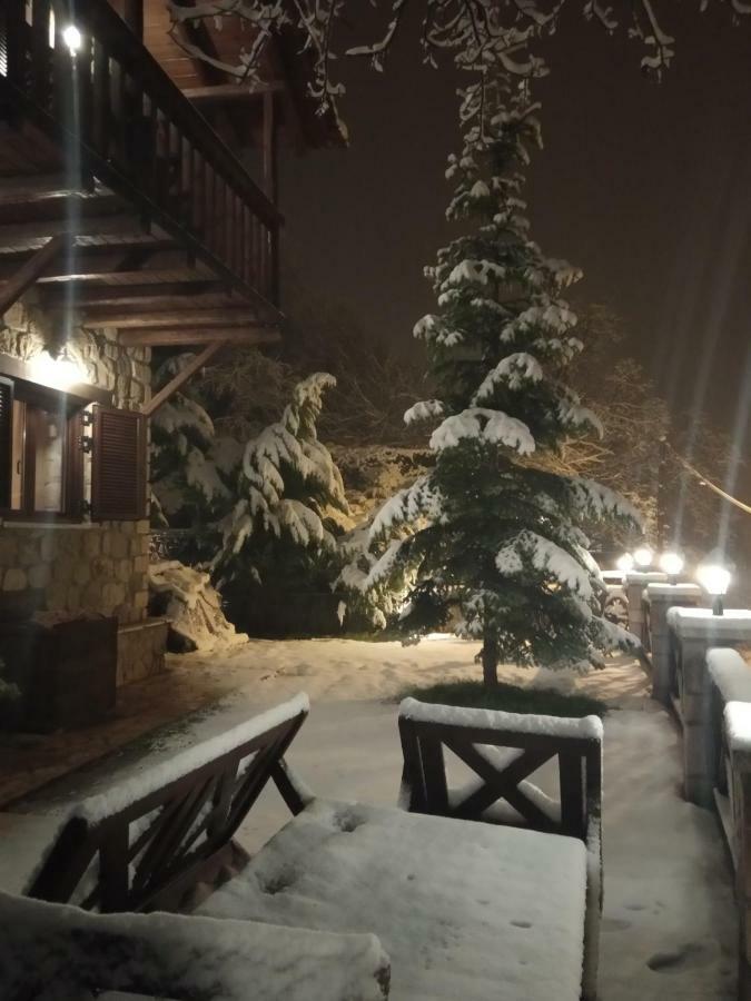 Filanthi Villa Kato Sinikia Trikalon Buitenkant foto